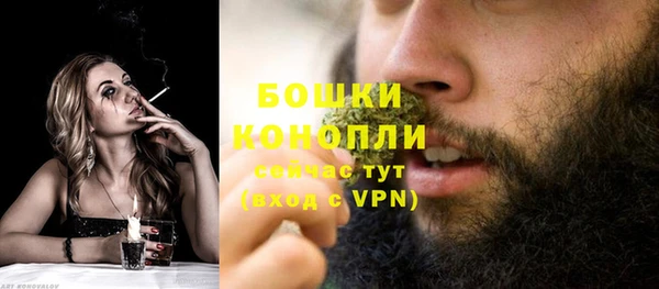 трава Медвежьегорск
