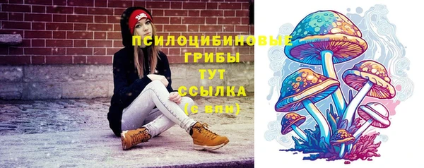марки lsd Алапаевск