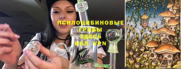 трава Медвежьегорск