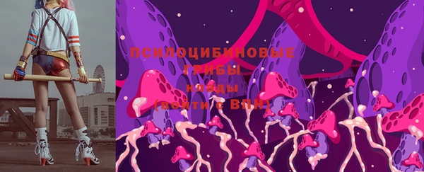 МДПВ Медногорск