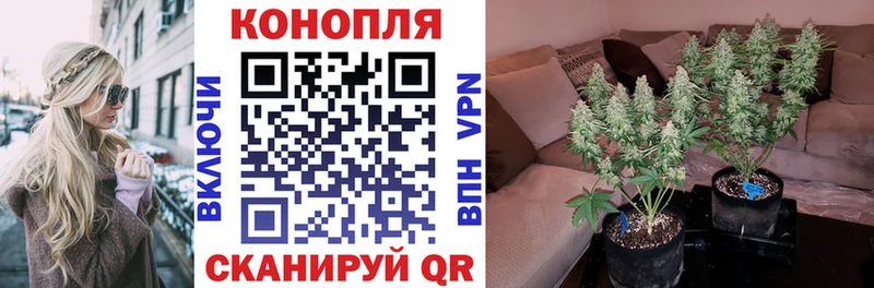 Бошки Шишки White Widow  Дыгулыбгей 